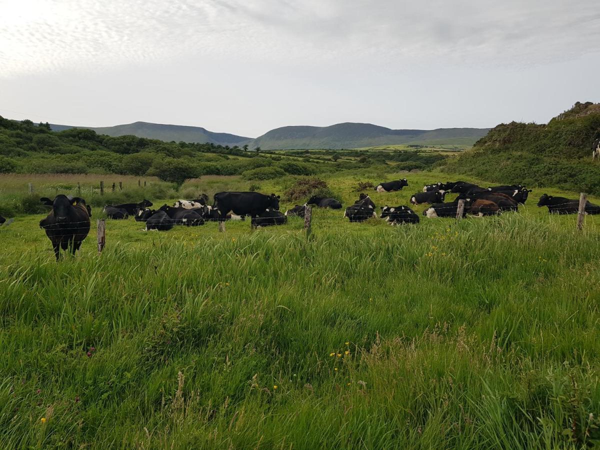 Anascaul Traditional Irish Farmhouse מראה חיצוני תמונה